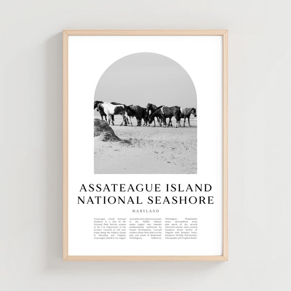 Assateague Island National Seashore Travel Poster, Assateague National Seashore Wall Art, Travel, Maryland City Art, Maryland Decor  NA357M 4342768595