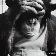 Checkmate Print, Monkey Playing Chess, Black and White Wall Art, Vintage Print, Photography Prints, Museum Quality Photo Art Print 1620779147