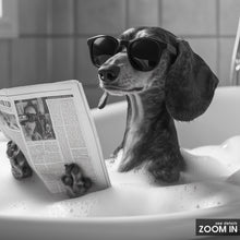 Dachshund in Bathtub Print, Dog Reading Newspaper Poster, Funny Black and White Wall Art,  Photography Prints, Museum Quality Photo Print 1775295350