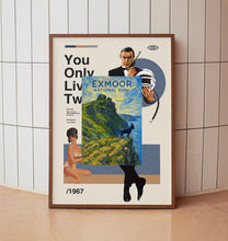 Exmoor National Park Poster, Travel Print, Valley of the Rocks, Somerset, Devon, Dartmoor, Retro Travel Poster, Wall Art Gift, Lynmouth