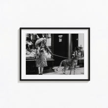 Leopard on a Leash Print, Vintage Animal Photo, Black and White Wall Art, Vintage Print, Photography Prints, Museum Quality Photo Print 1606604324