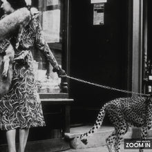 Leopard on a Leash Print, Vintage Animal Photo, Black and White Wall Art, Vintage Print, Photography Prints, Museum Quality Photo Print 1606604324