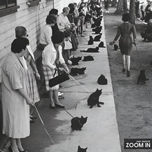 Owners with Their Black Cats Print, Black and White Wall Art, Vintage Print, Photography Prints, Museum Quality Photo Art Print 1620779795