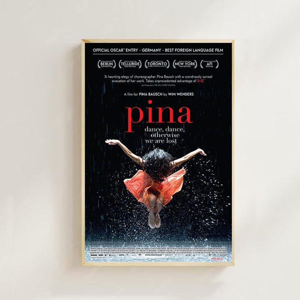 Pina (2011) Movie Poster Vintage Film Art Print,Room decor,Wall Art,Poster Gift,Film Fan Collection 1844223926