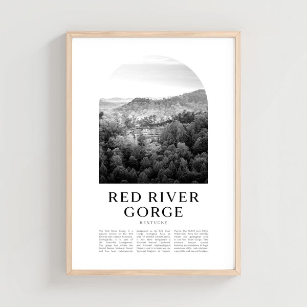 Red River Gorge Travel Poster, Red River Gorge Print, Red River Gorge Wall Art, Travel Print, Kentucky City Art, Kentucky Decor  NA355M 4342767889