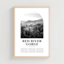 Red River Gorge Travel Poster, Red River Gorge Print, Red River Gorge Wall Art, Travel Print, Kentucky City Art, Kentucky Decor  NA355M 4342767889