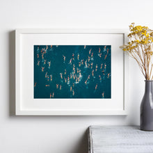 Swimming Poster, Ocean Swimming Wall Art, Vintage Print, Photography Prints, Museum Quality Photo Art Print 1795102945