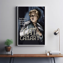 The Cat and the Canary 1927Poster Art Print Movie Posters Gift for Movie lovers  2