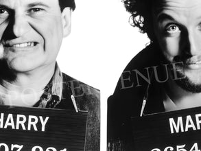 The Wet Bandits Home Alone Movie Mug Shots Poster, Funny Bathroom Wall Art, Comedy, Home Alone Decor, Harry & Marv Home Alone 1805700644